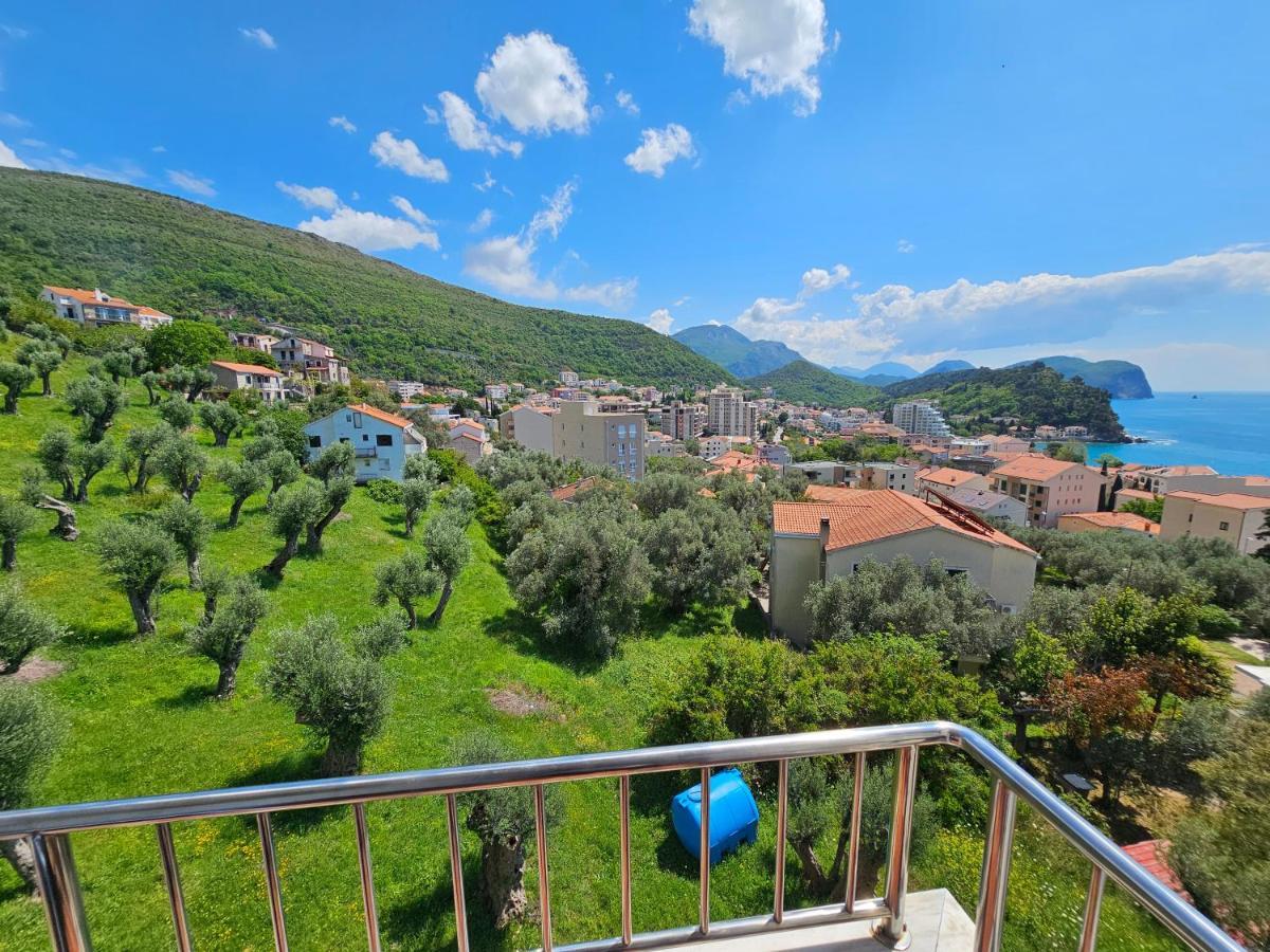 Medin Apartments Bluvista Petrovac Exterior foto
